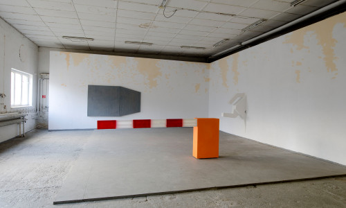 Peripheral constellation. 2011